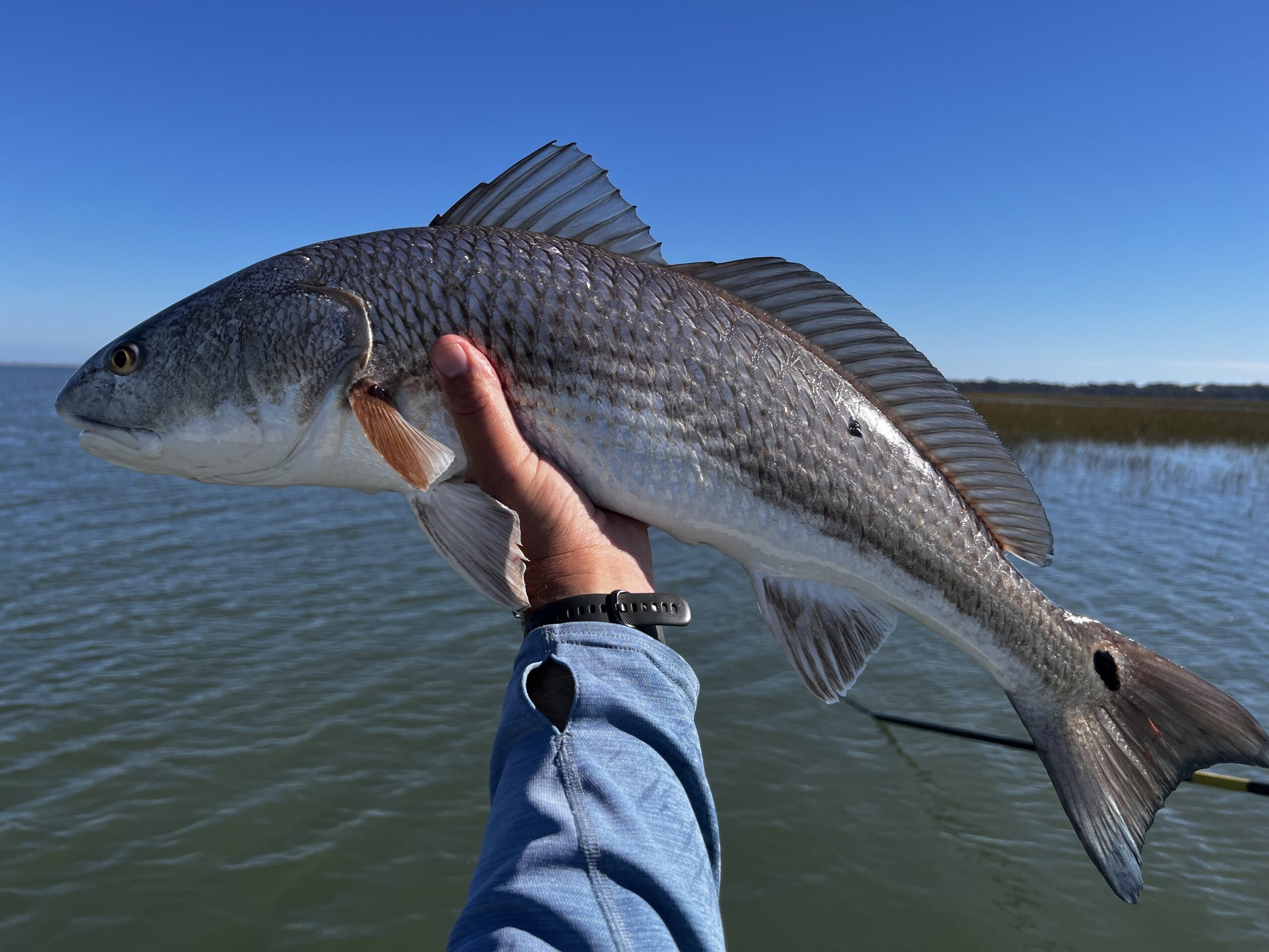 Charleston Fly Fishing Guides & Light-Tackle Fishing Charters, FishWater Outfitters, Captain Braden Powell, Redfish Fishing