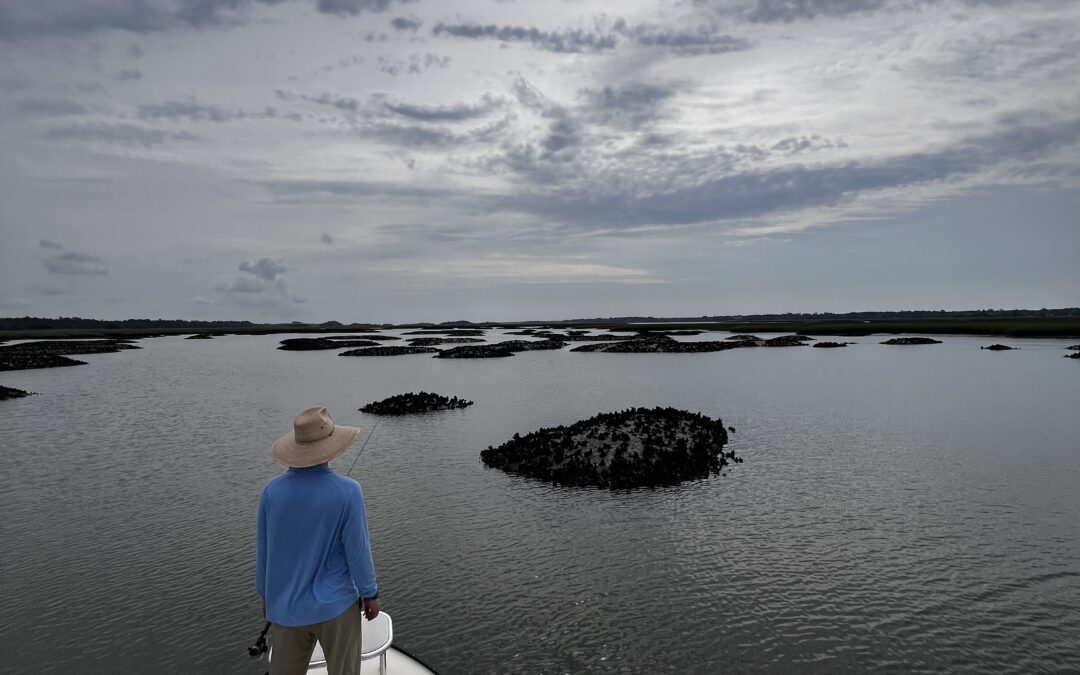 Charleston Fly Fishing Guides & Light-Tackle Fishing Charters, FishWater Outfitters, Captain Braden Powell, Redfish Fishing